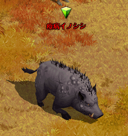 嘆きの森